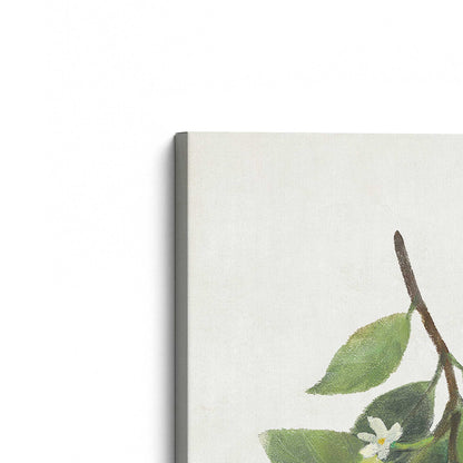 Fresh Lemons Duo Canvas Print, Set of 2
