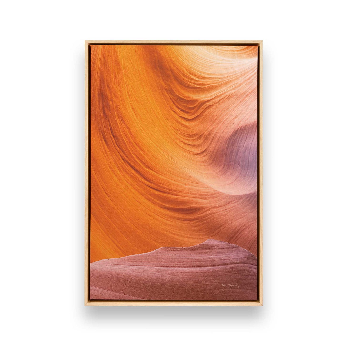 Nature's Sculpture Canvas Print