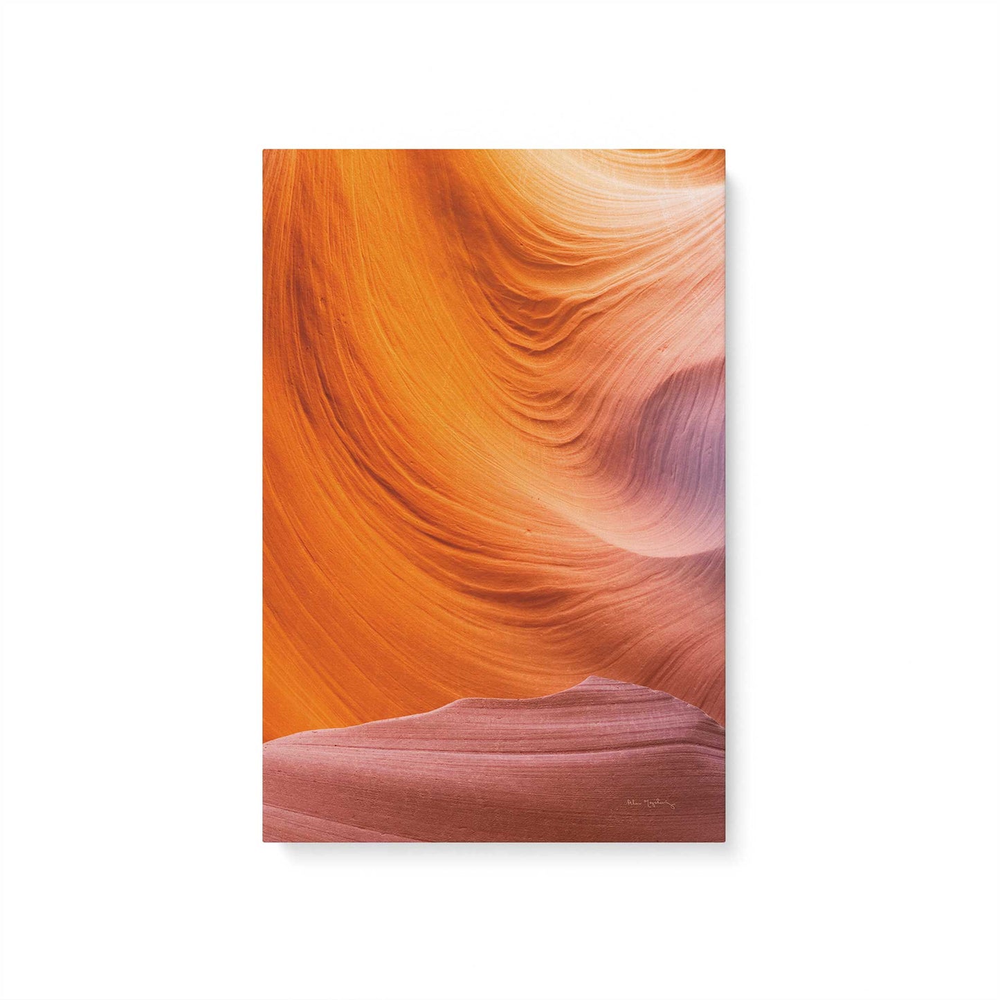 Nature's Sculpture Canvas Print