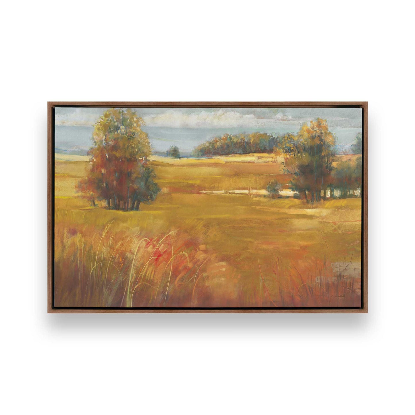 [Color:Walnut], Picture of art in a Walnut frame