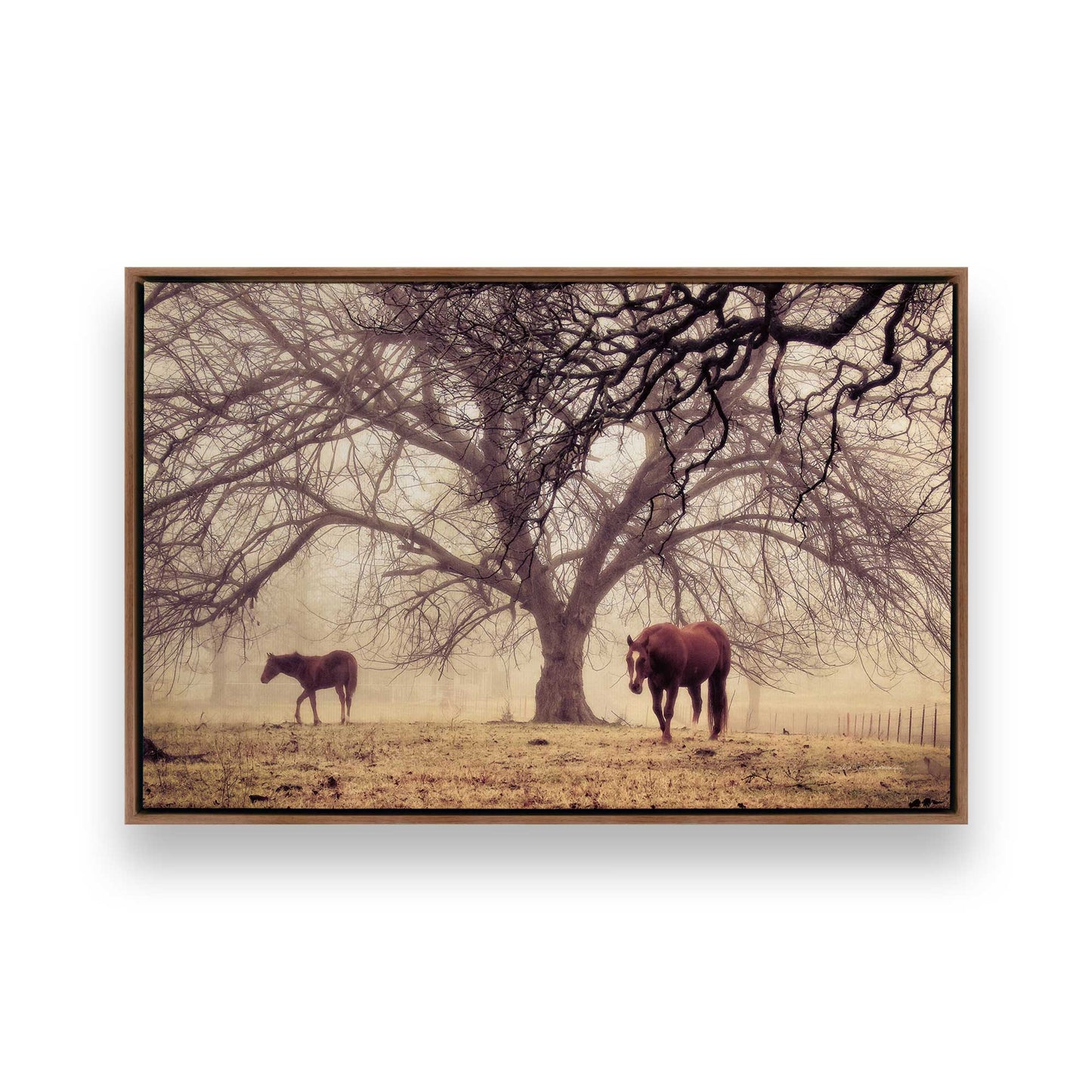 [Color:Walnut], Picture of art in a Walnut frame