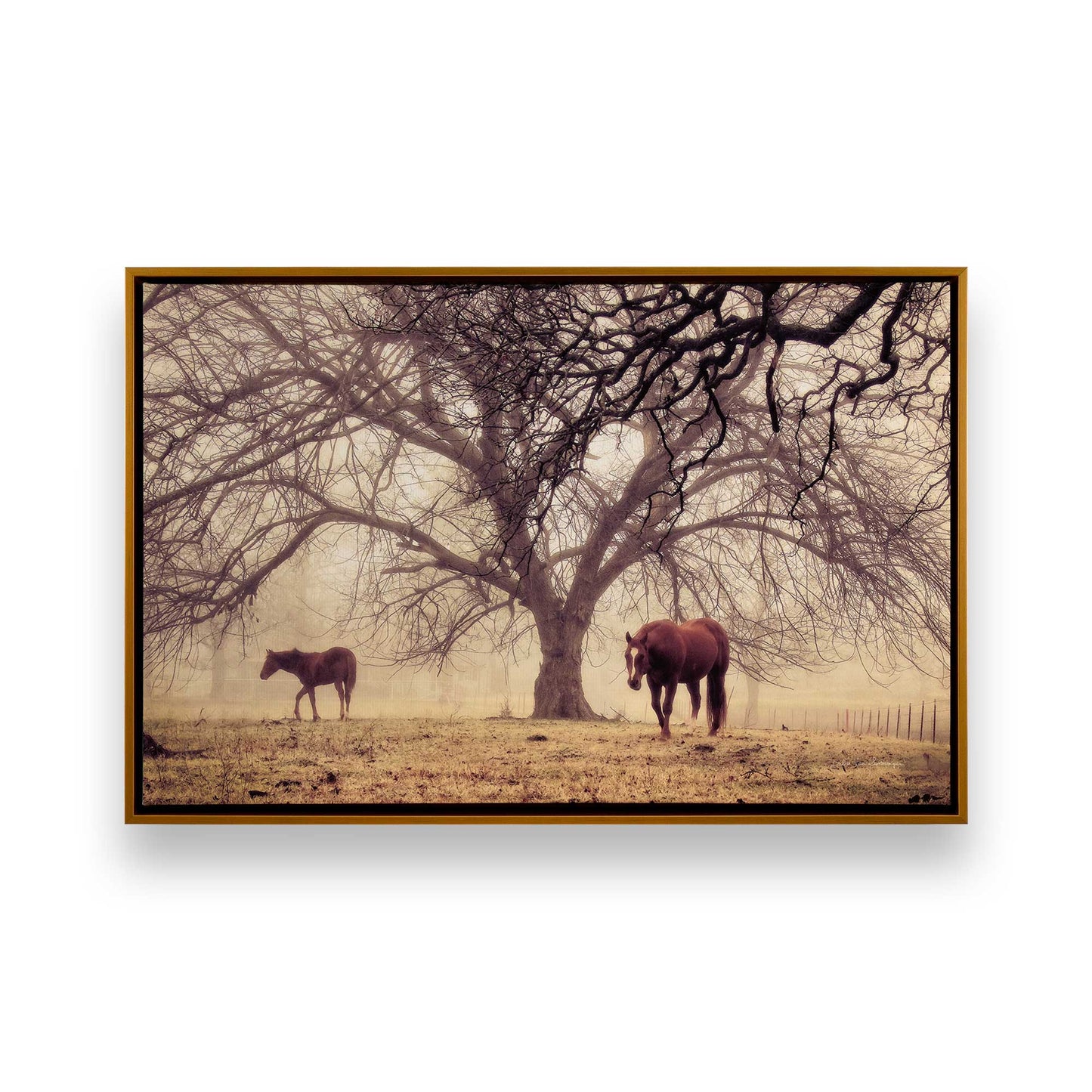[Color:Polished Gold], Picture of art in a Polished Gold frame