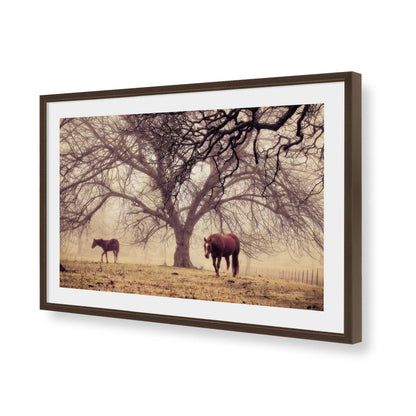 [Color:Belvinder Brown], Picture of art in a Belvinder Brown frame of the corner
