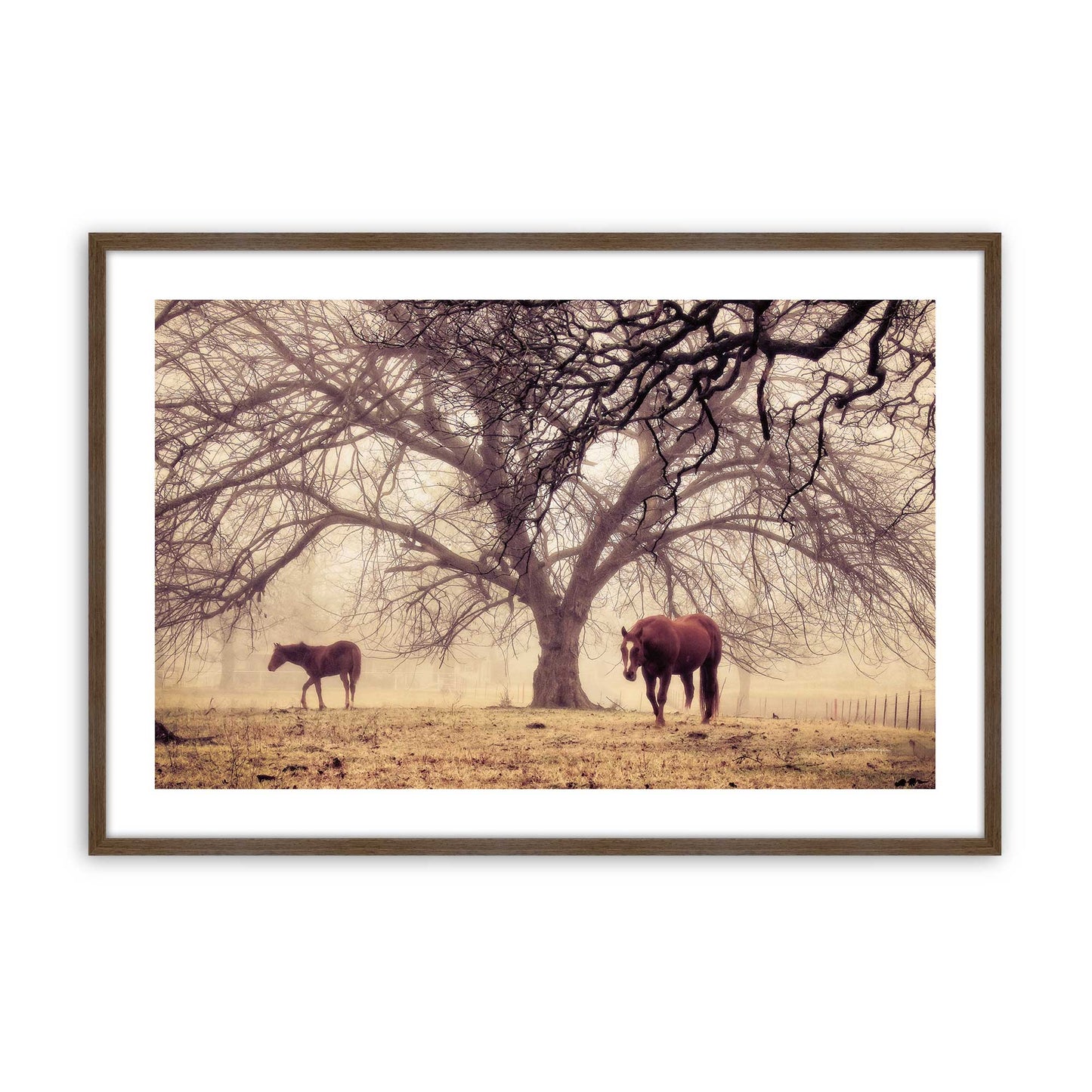 [Color:Walnut], Picture of art in a Walnut frame