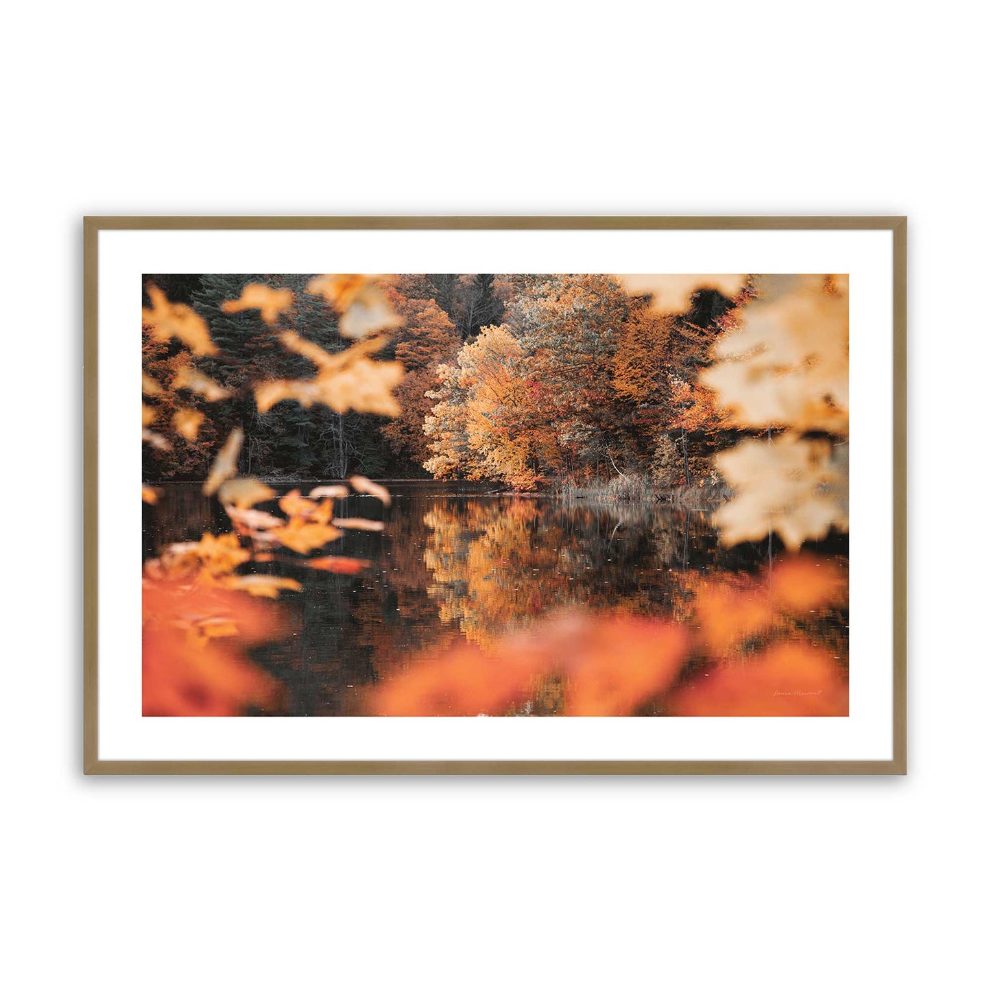 [Color:Brushed Gold], Picture of art in a Brushed Gold frame