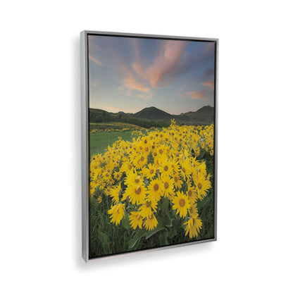 [Color:Polished Chrome], Picture of the corner of the art