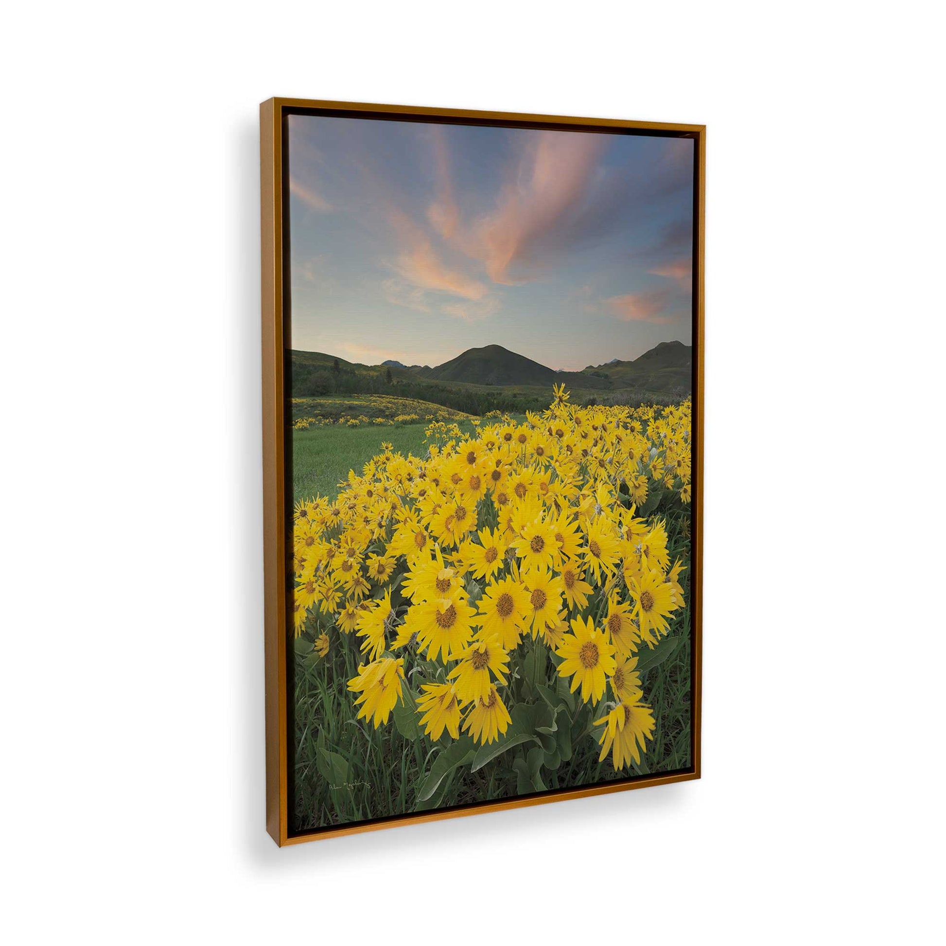 [Color:Polished Gold], Picture of the corner of the art
