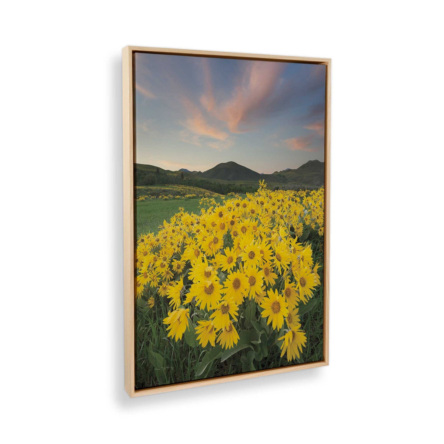 [Color:American Maple], Picture of the corner of the art