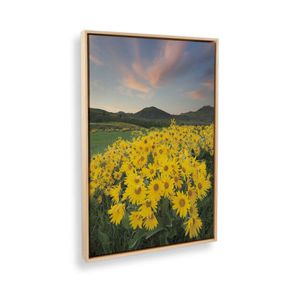 [Color:American Maple], Picture of the corner of the art