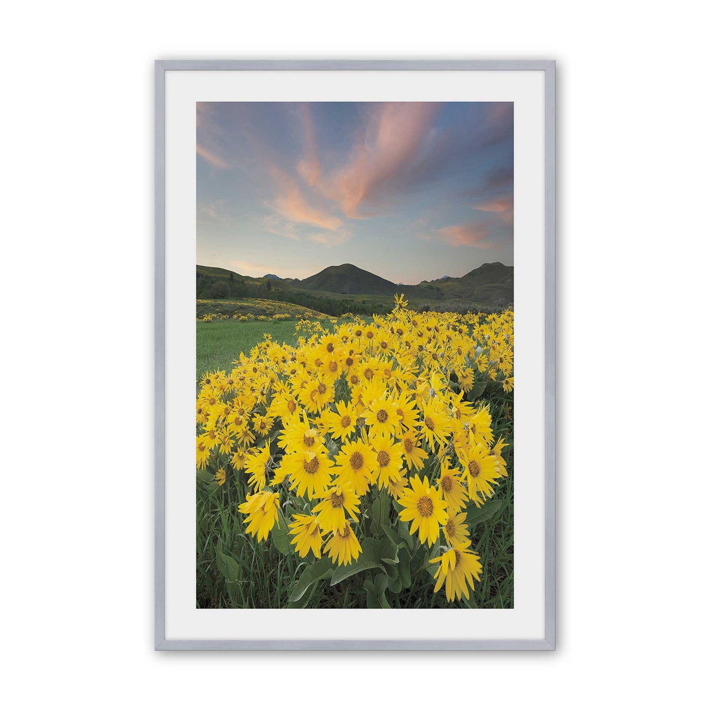 [Color:Polished Chrome], Picture of art in a Polished Chrome frame