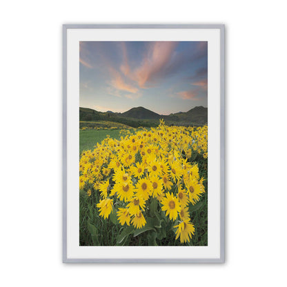 [Color:Polished Chrome], Picture of art in a Polished Chrome frame
