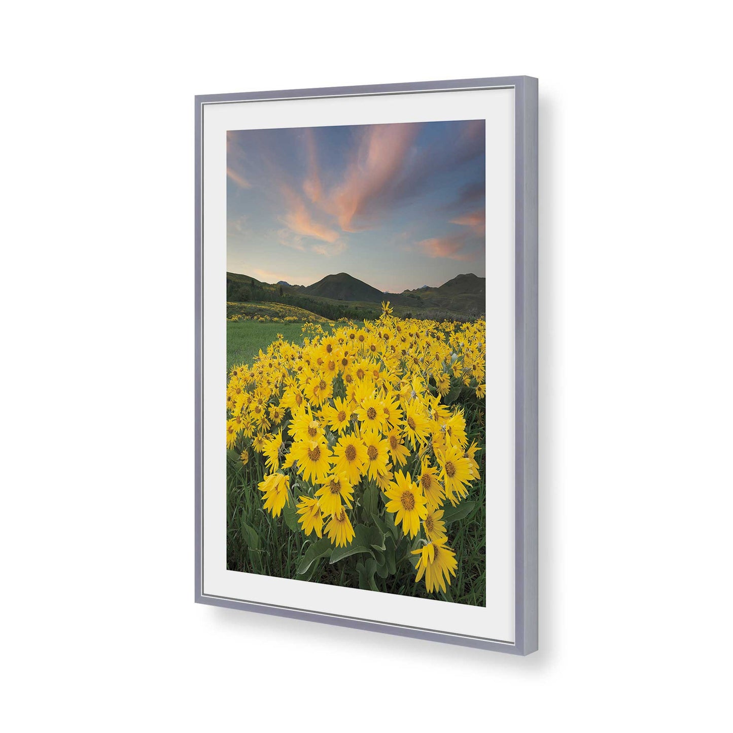 [Color:Polished Chrome], Picture of art in a Polished Chrome frame of the corner