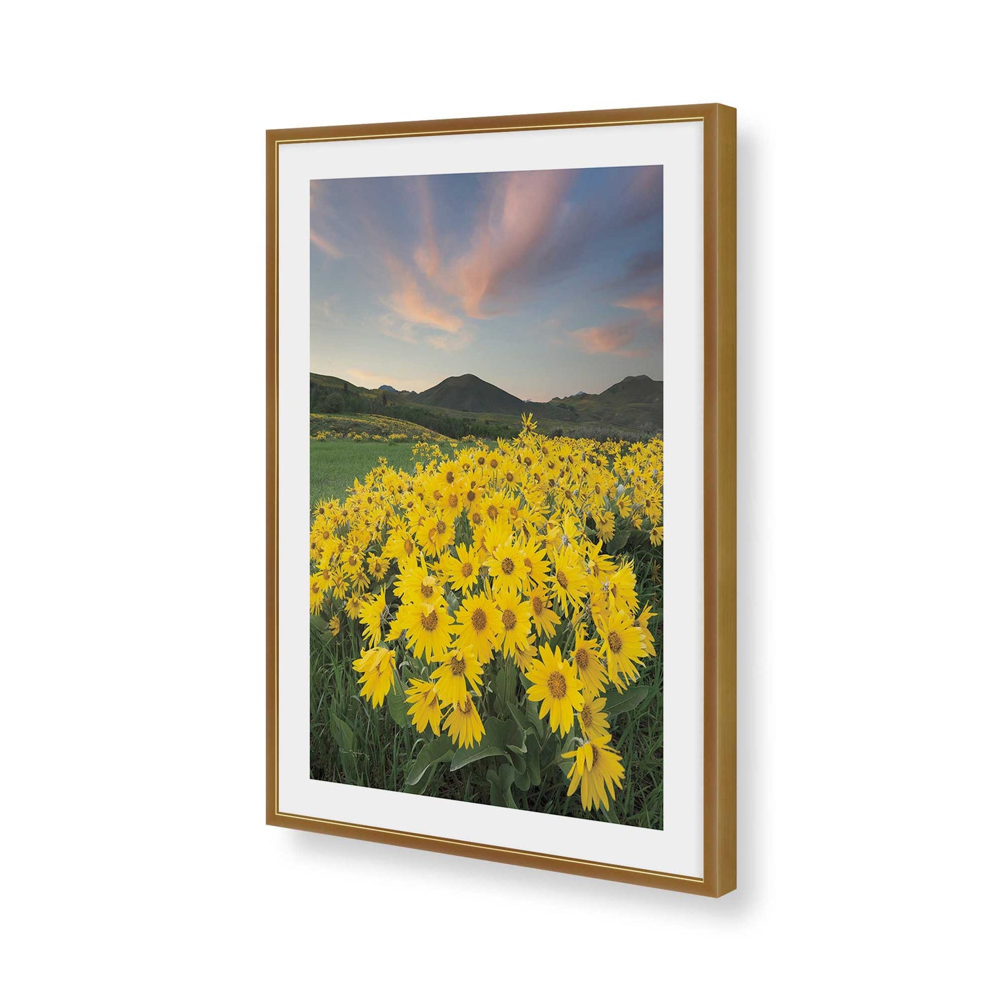 [Color:Polished Gold], Picture of art in a Polished Gold frame of the corner