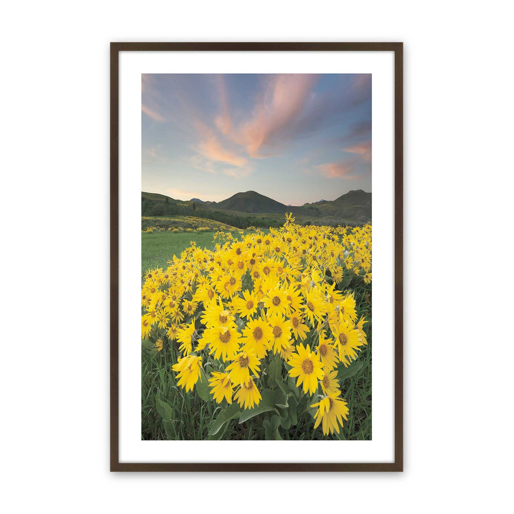 [Color:Brown], Picture of art in a Brown frame