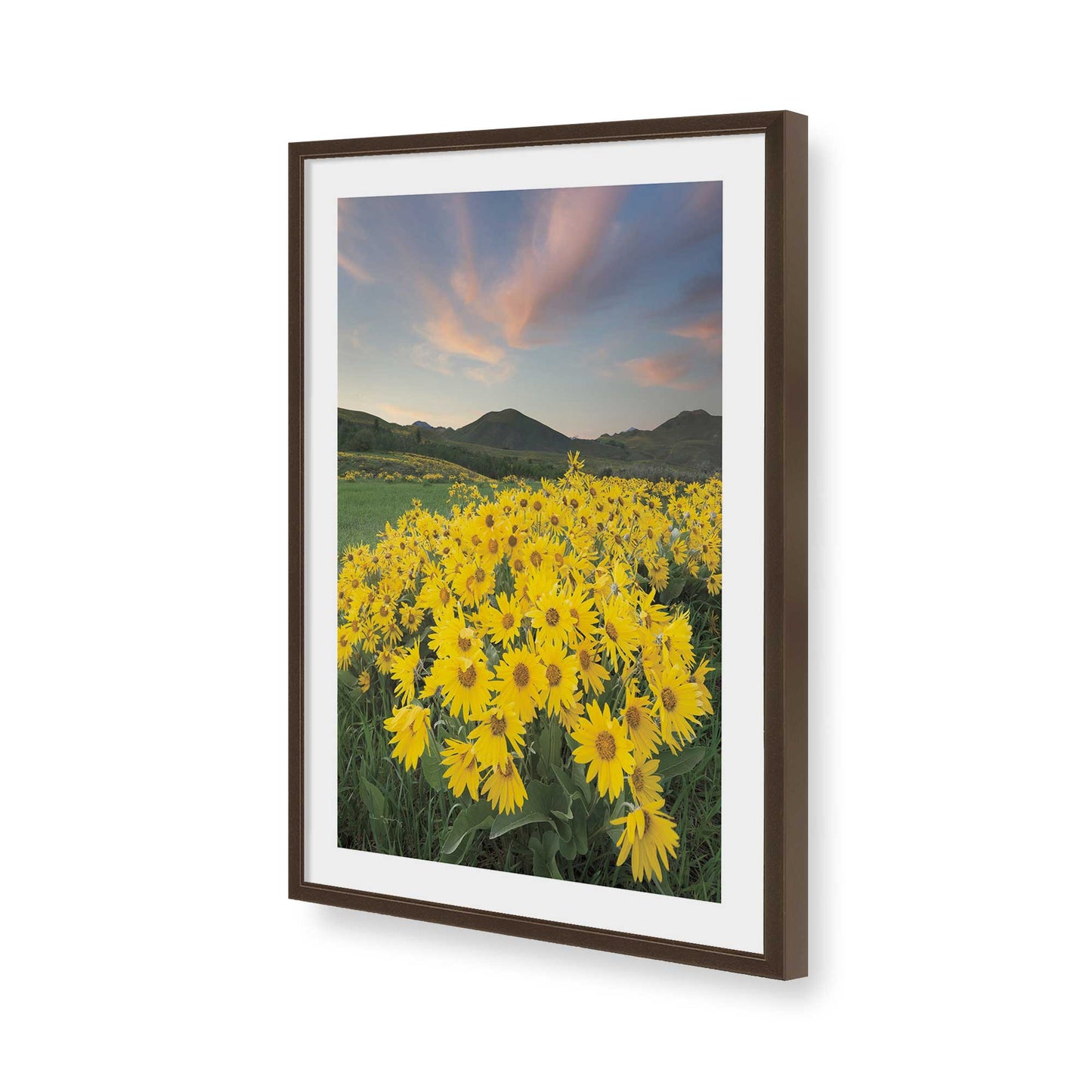 [Color:Belvinder Brown], Picture of art in a Belvinder Brown frame of the corner