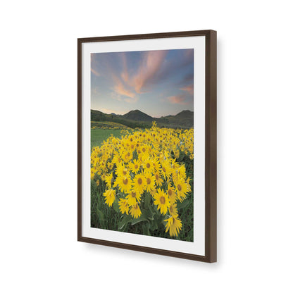 [Color:Brown], Picture of art in a Brown frame of the corner