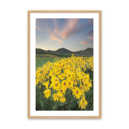 [Color:American Maple], Picture of art in a American Maple frame