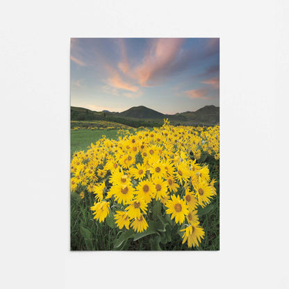 [Color:Rolled Print], Picture of close up of art