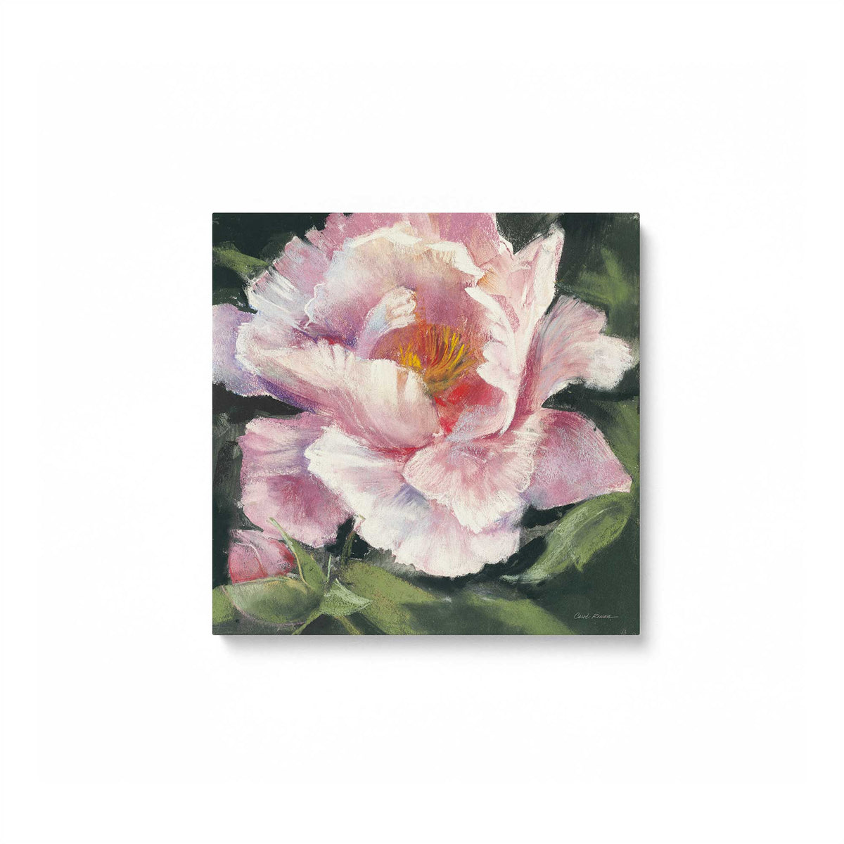 [Color:Stretched Canvas], Picture of art