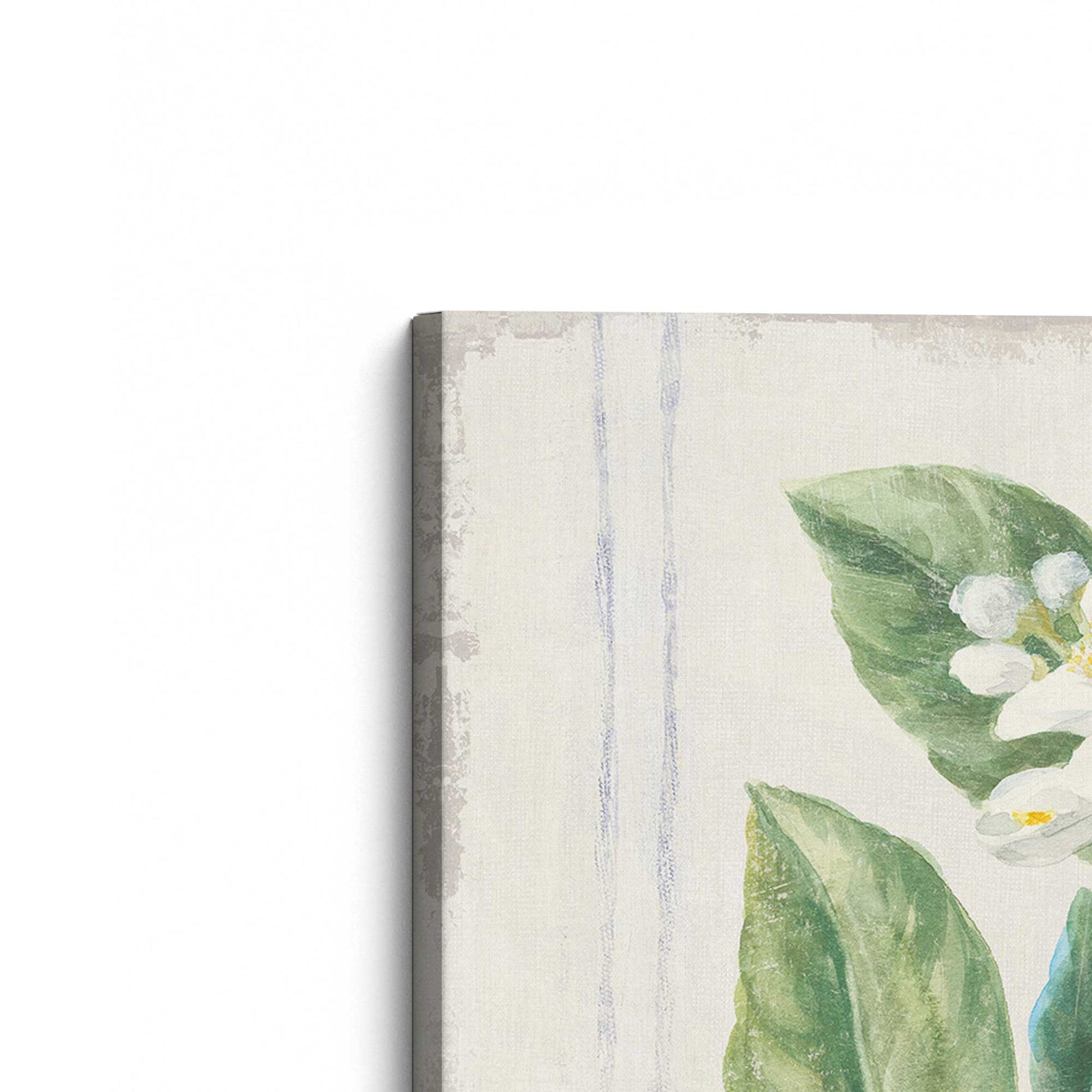 [Color:Stretched Canvas], Picture of the corner of the art