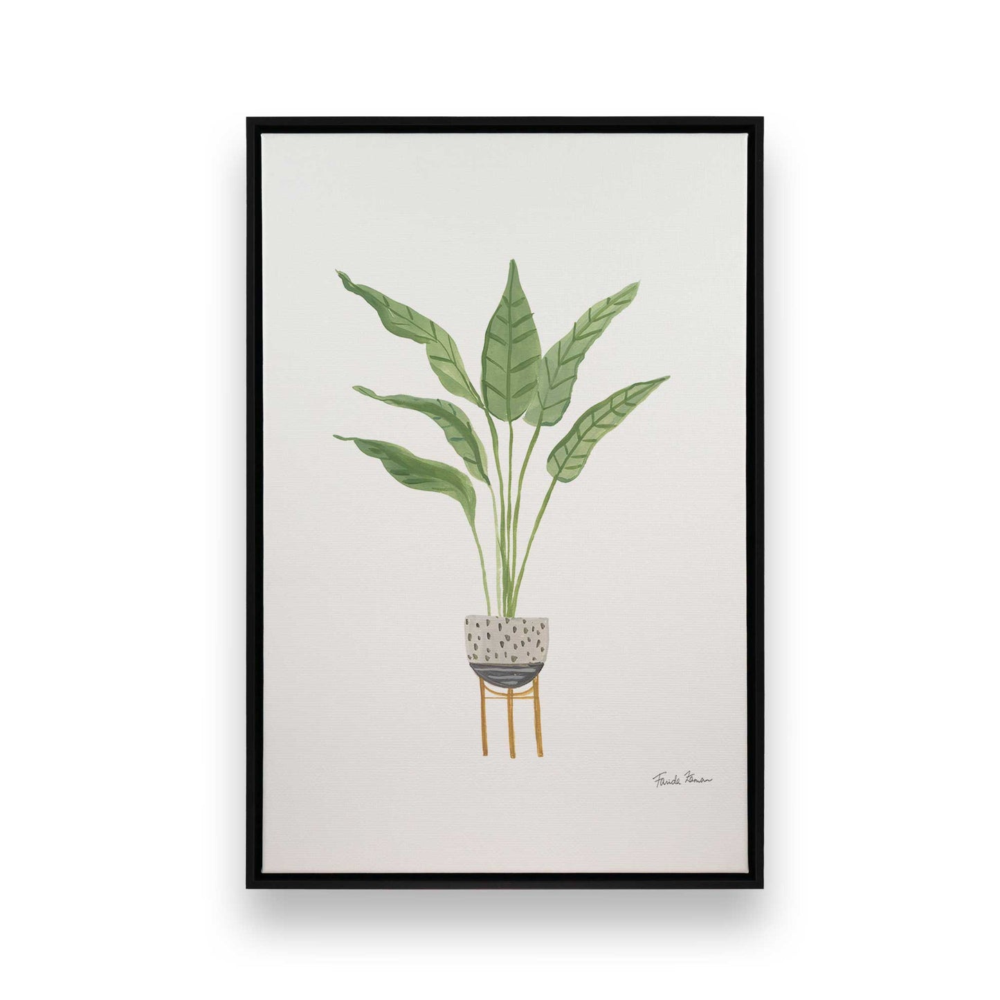 [Color:Satin Black],