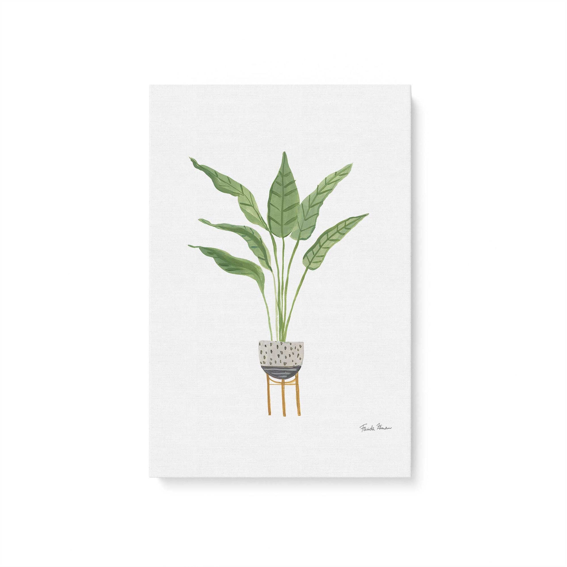 [Color:Stretched Canvas], Picture of art