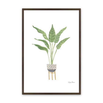[Color:Brown], Picture of art in a Brown frame