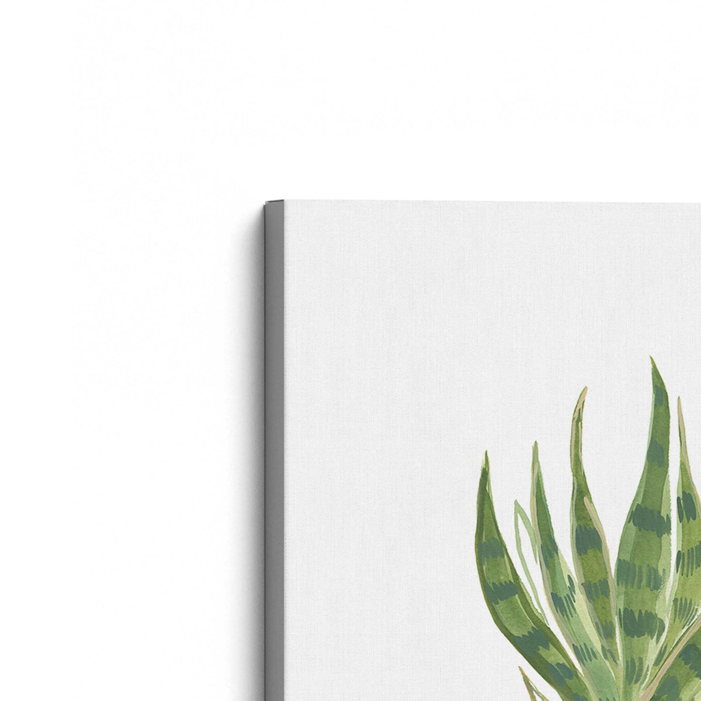 [Color:Stretched Canvas], Picture of the corner of the art