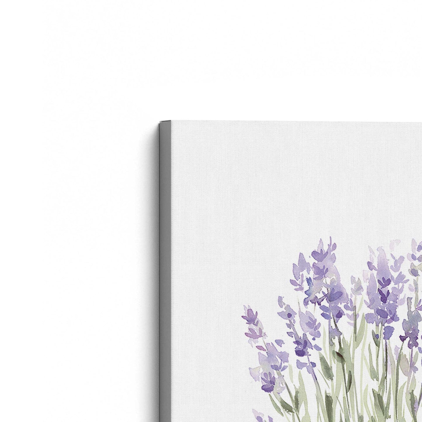 [Color:Stretched Canvas], Picture of the corner of the art