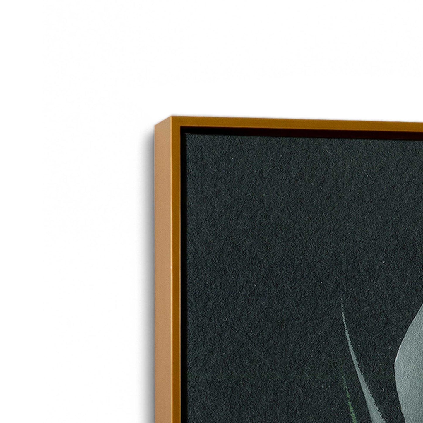 [Color:Polished Gold], Picture of art in a Polished Gold frame at an angle