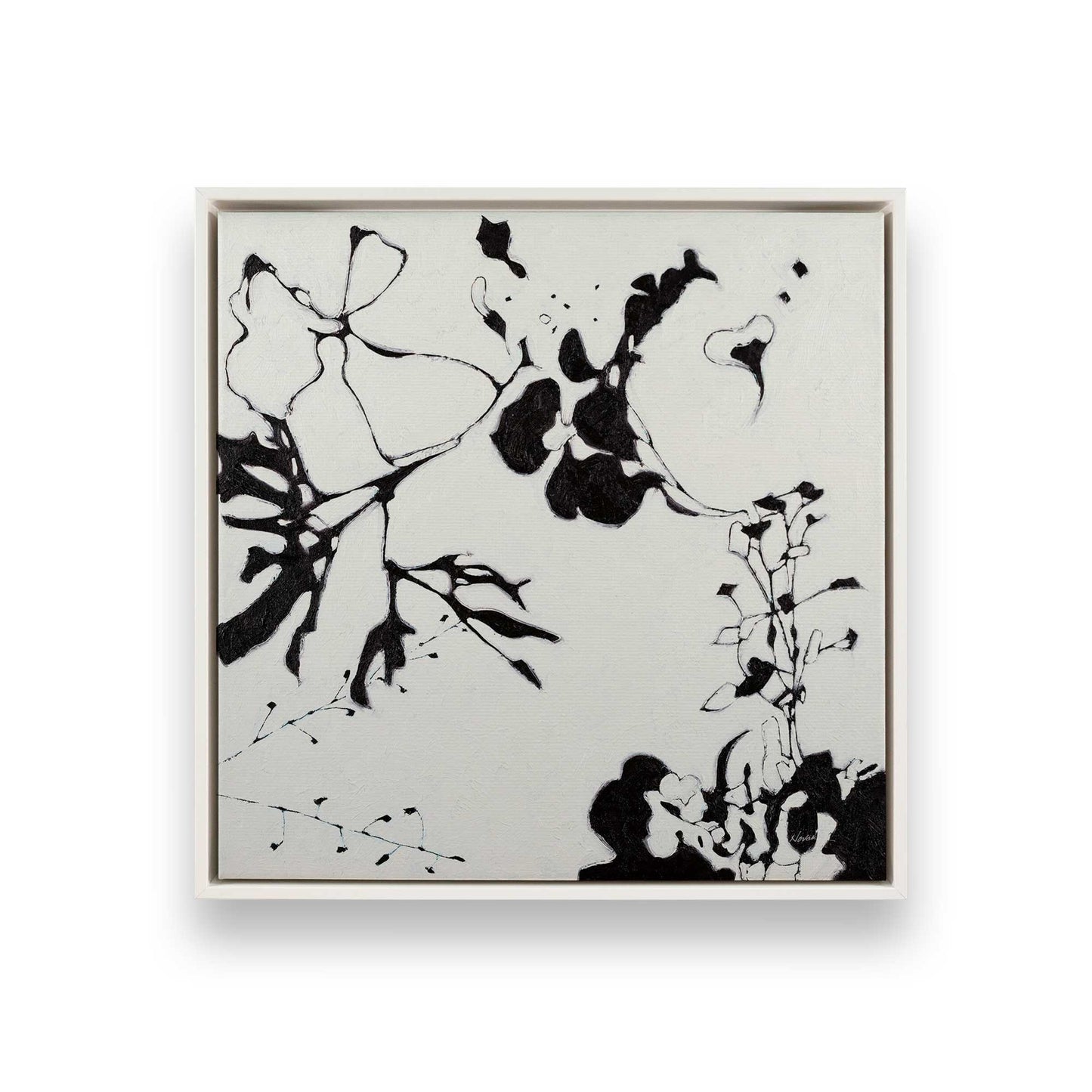 Bold Bloom Drama, Set of 3 Canvas Prints