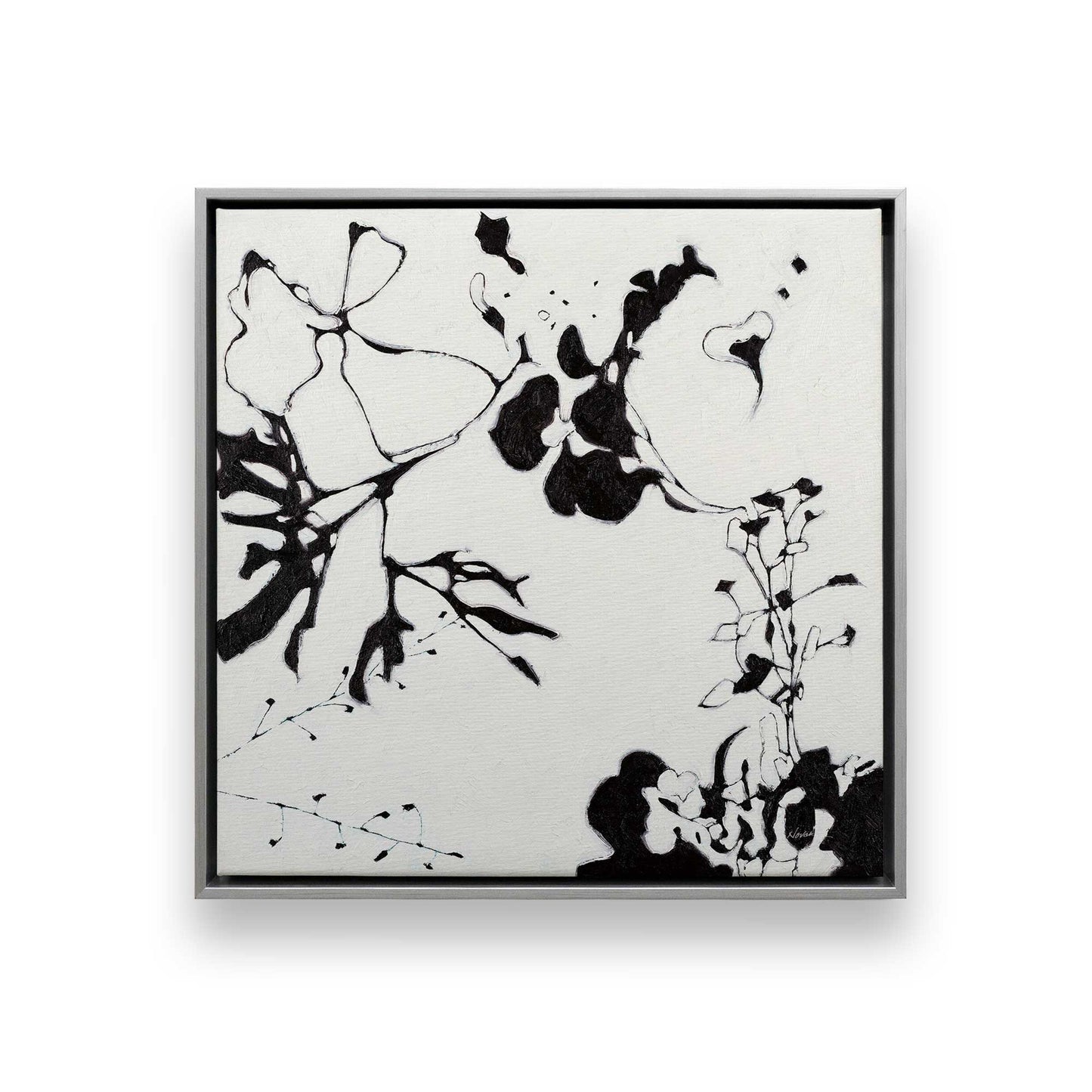 Bold Bloom Drama, Set of 3 Canvas Prints