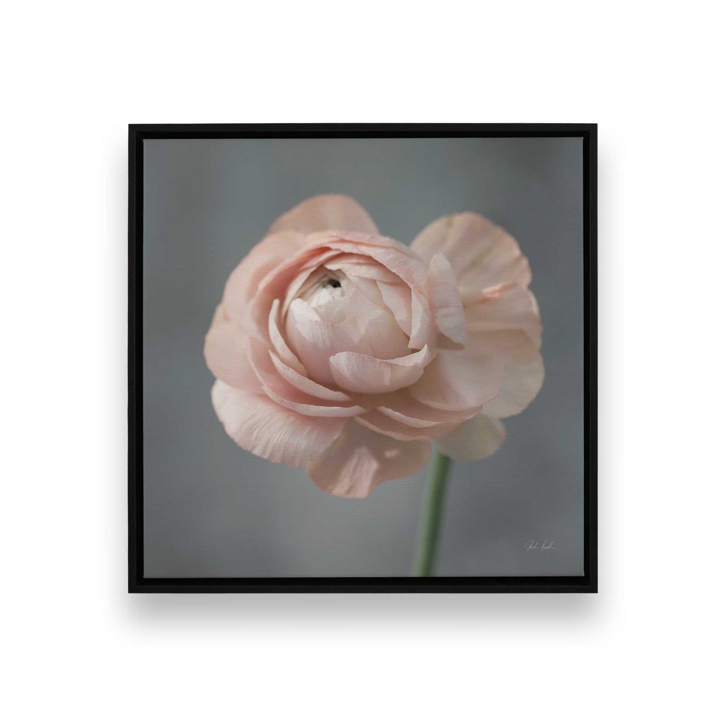 [Color:Satin Black], Picture of art in a Satin Black frame
