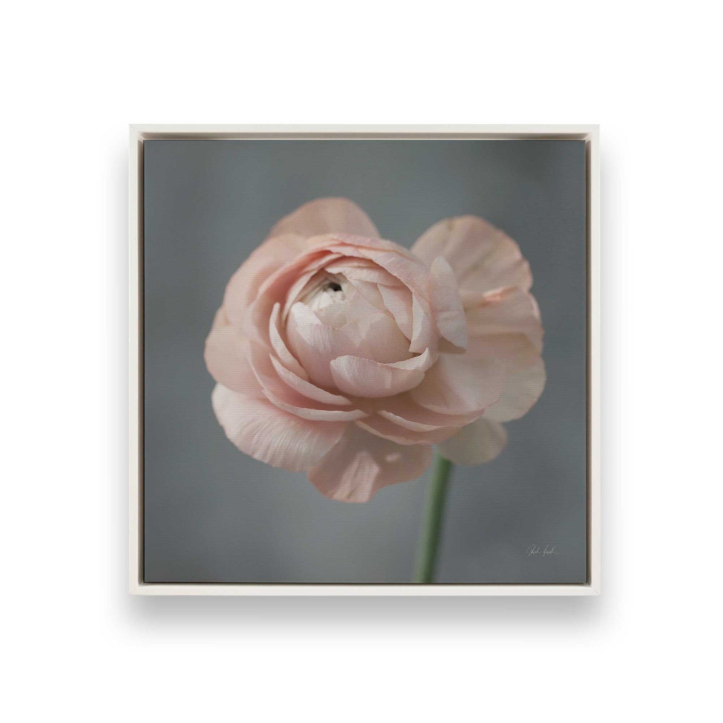 [Color:Opaque White], Picture of art in a White frame