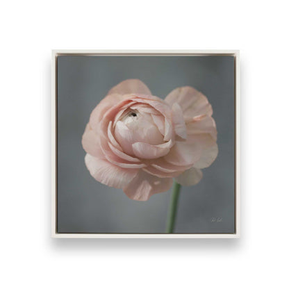 [Color:Opaque White], Picture of art in a White frame