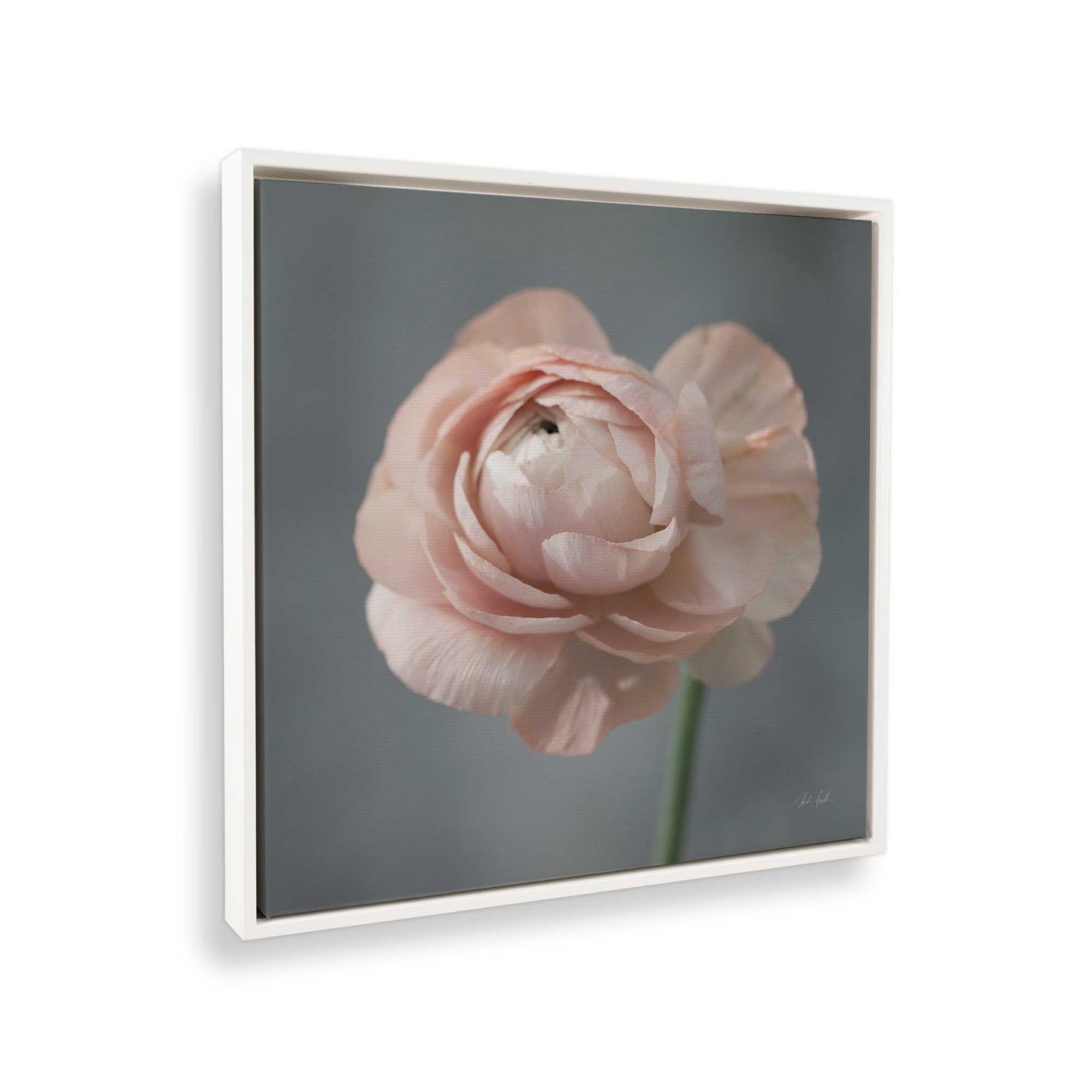 [Color:Opaque White], Picture of the corner of the art