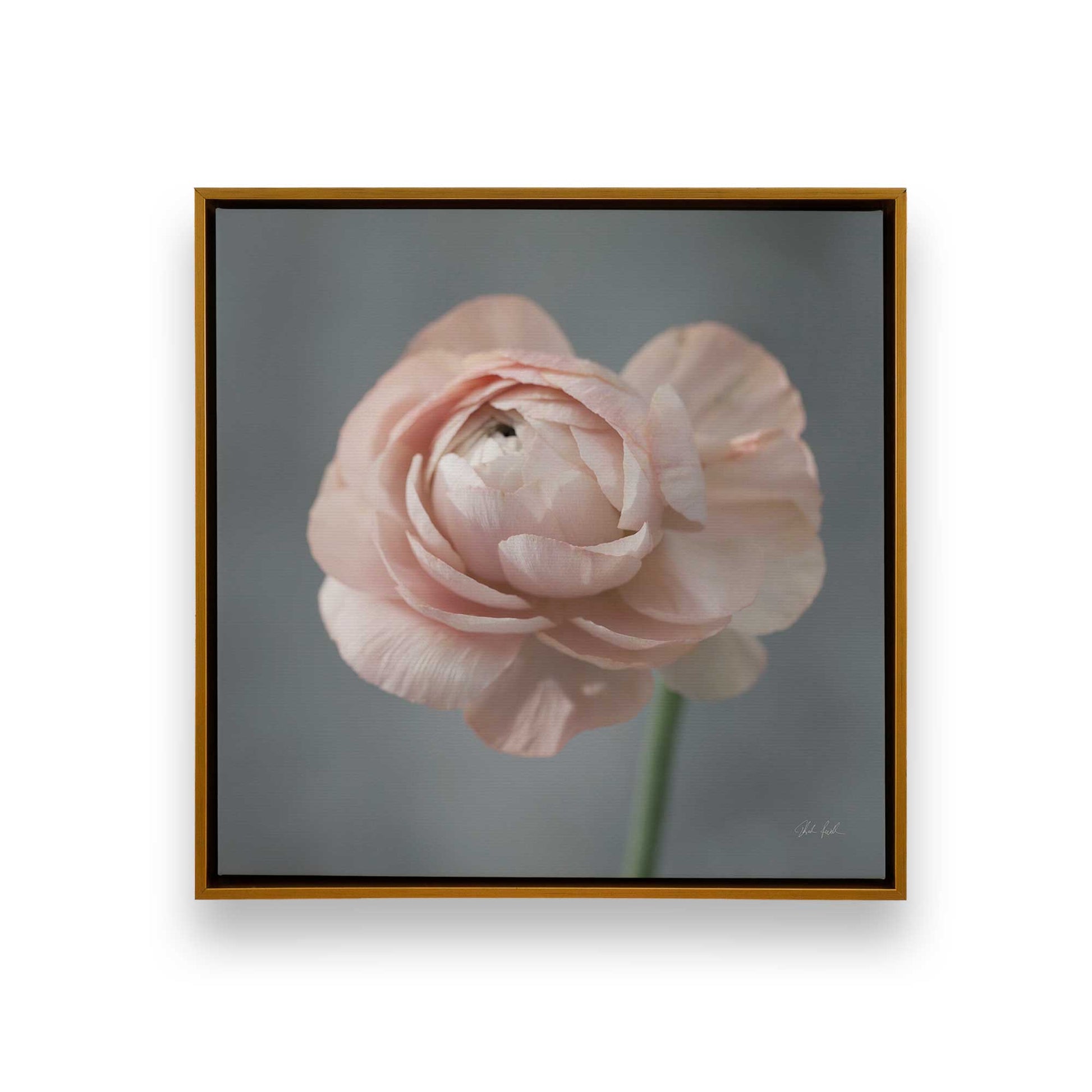 [Color:Polished Gold], Picture of art in a Polished Gold frame