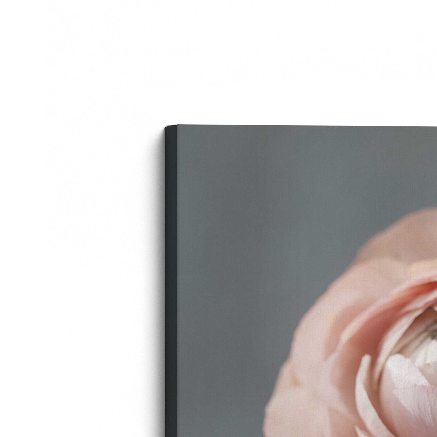 [Color:Stretched Canvas], Picture of the corner of the art