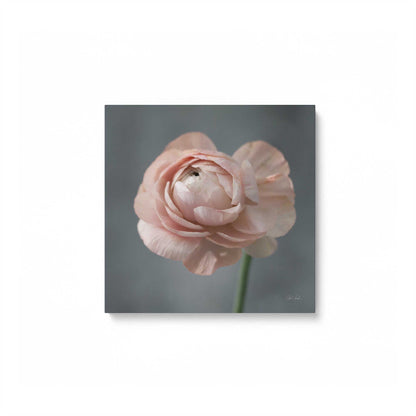 [Color:Stretched Canvas], Picture of art
