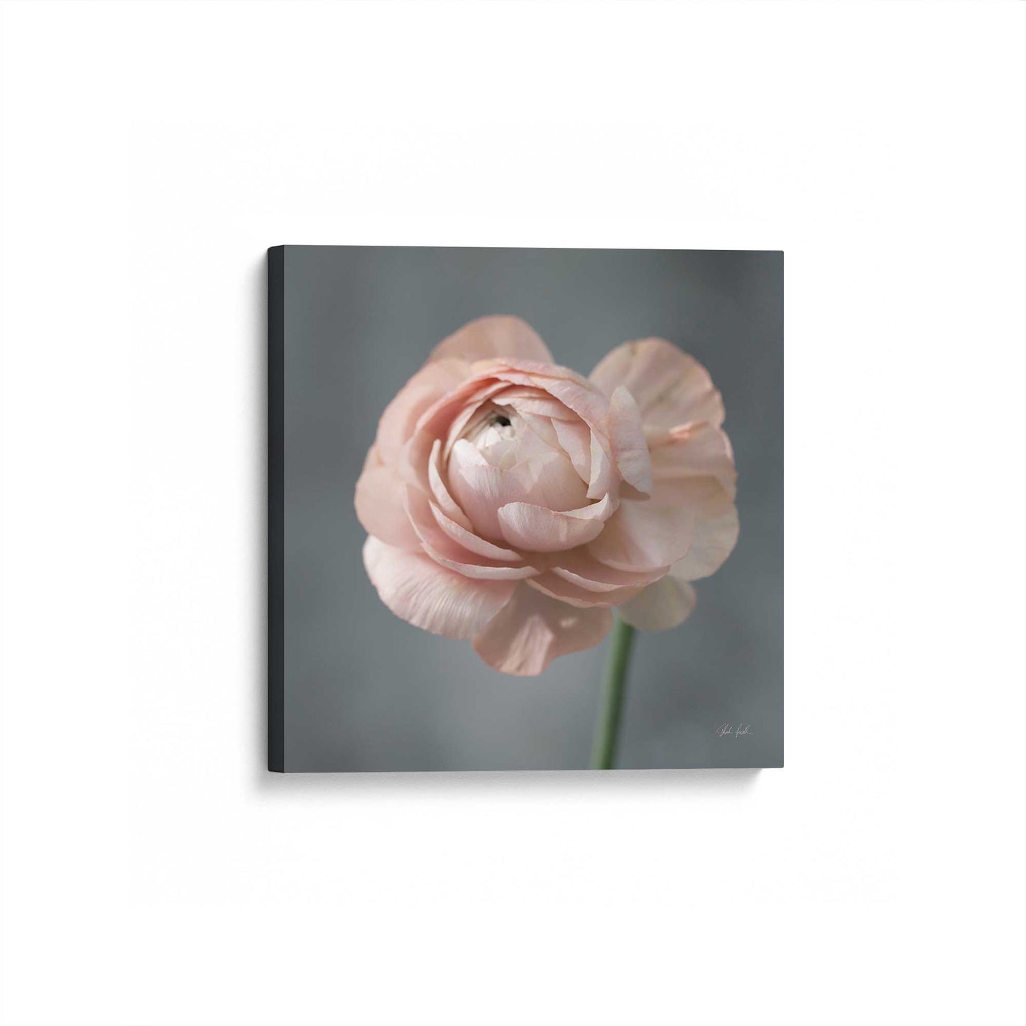 [Color:Stretched Canvas], Picture of art at an angle