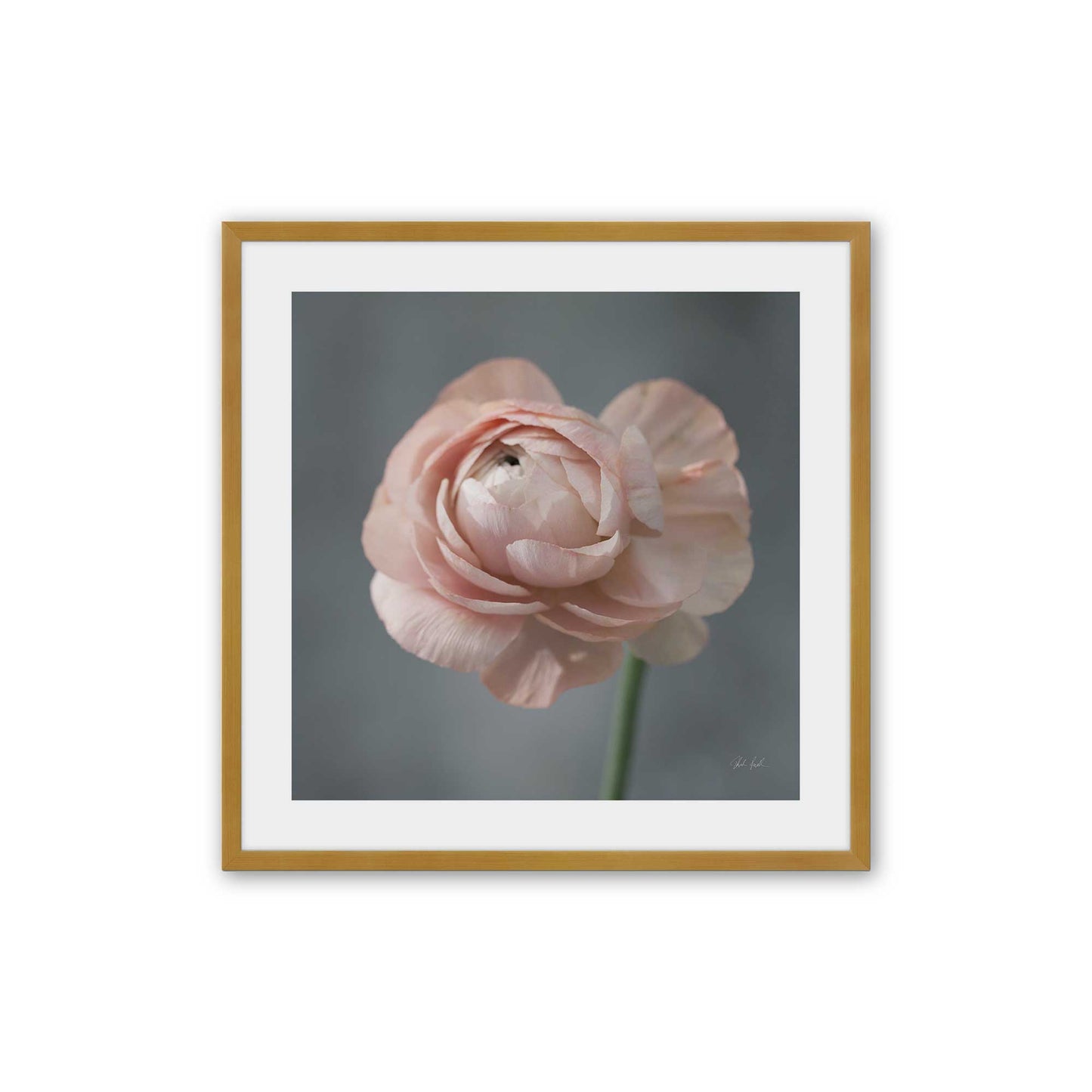 [Color:Polished Gold], Picture of art in a Polished Gold frame