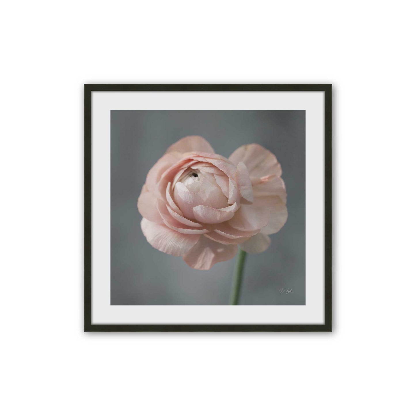 [Color:Satin Black], Picture of art in a Satin Black frame
