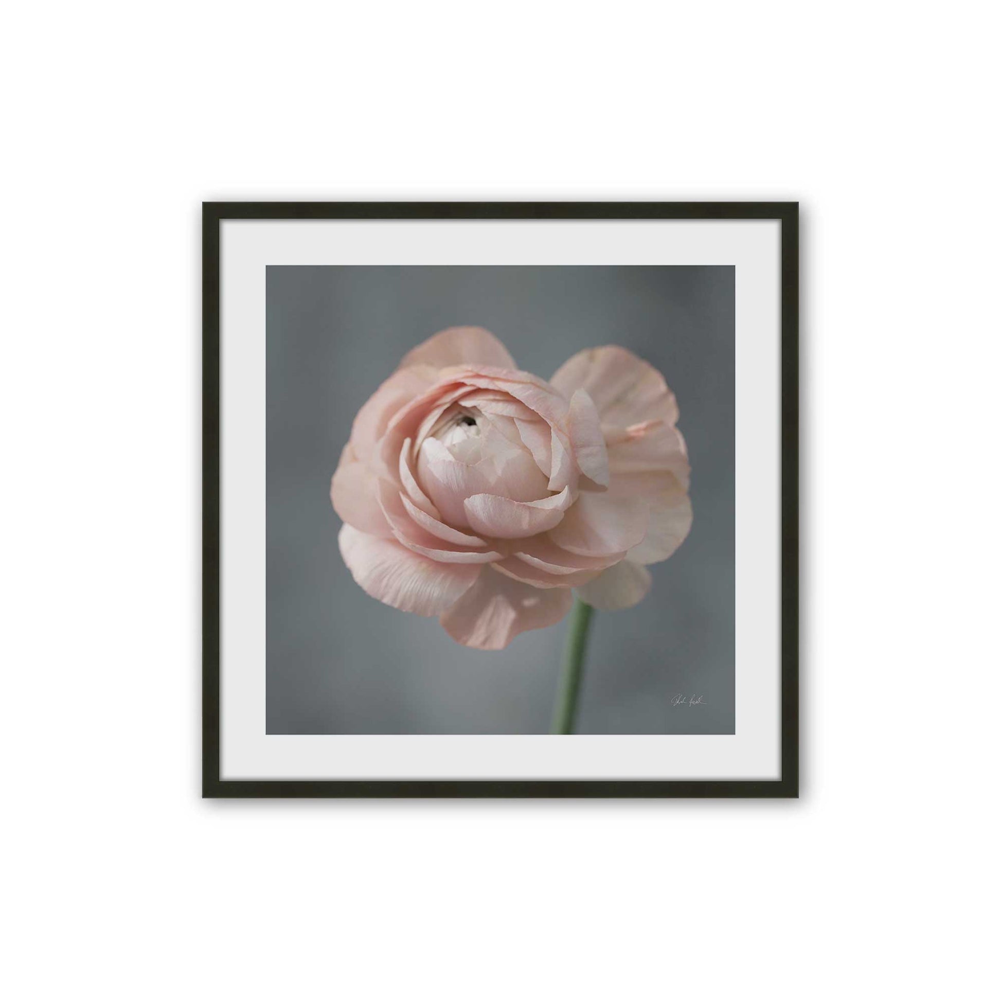 [Color:Satin Black], Picture of art in a Satin Black frame