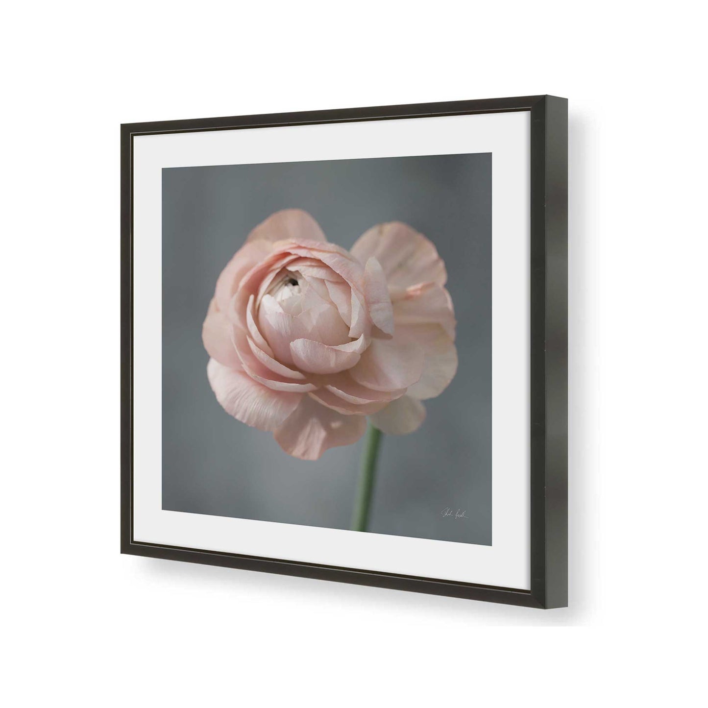 [Color:Satin Black], Picture of art in a Satin Black frame of the corner