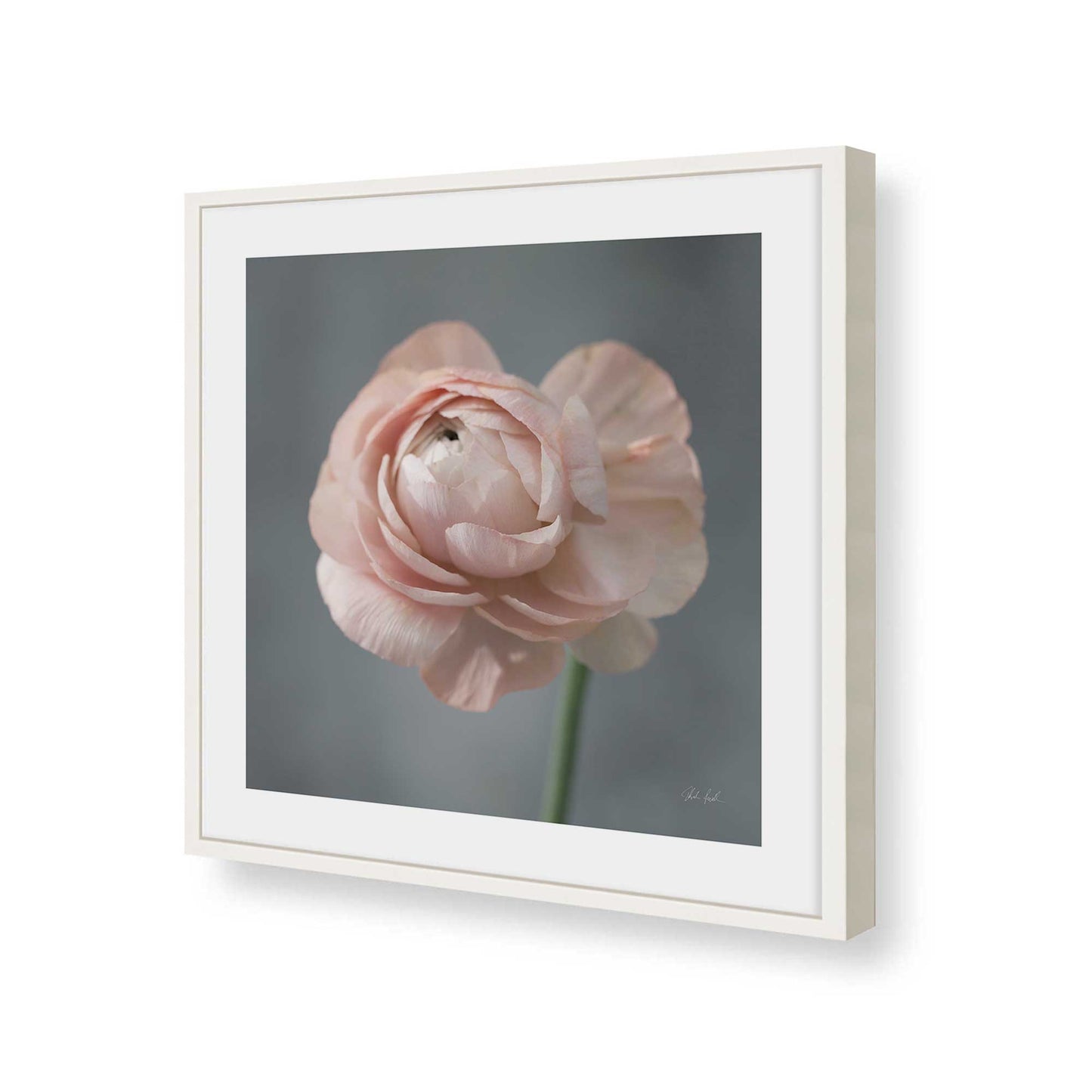 [Color:Opaque White], Picture of art in a Opaque White frame of the corner