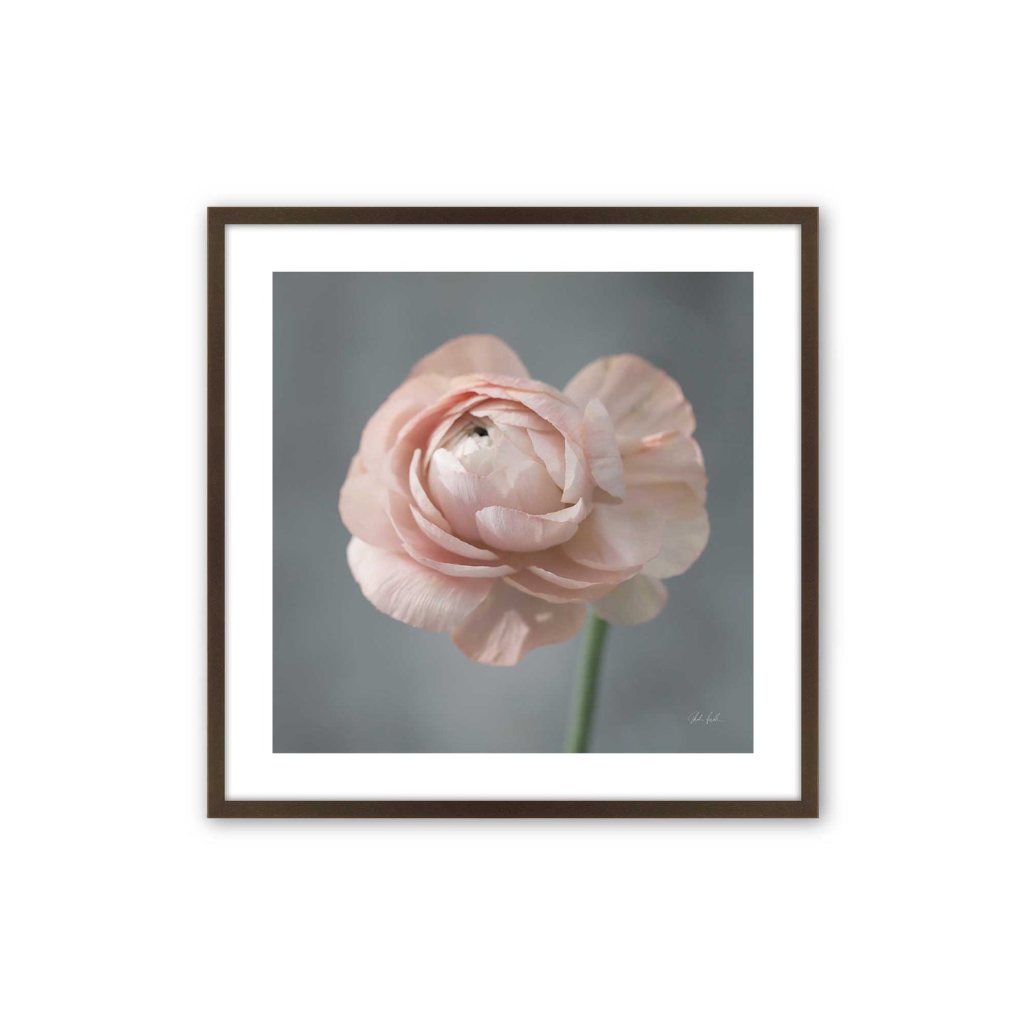 [Color:Espresso], Picture of art in a Espresso frame