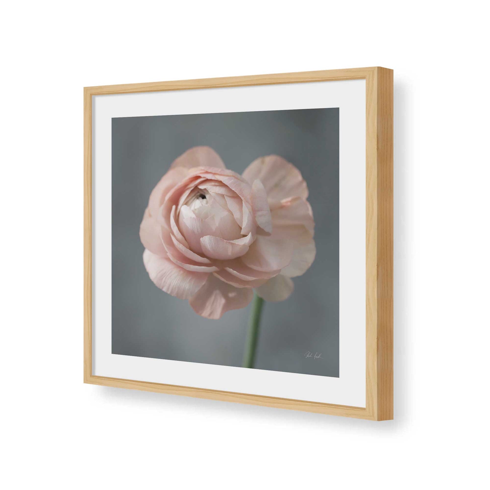 [Color:American Maple], Picture of art in a American Maple frame of the corner