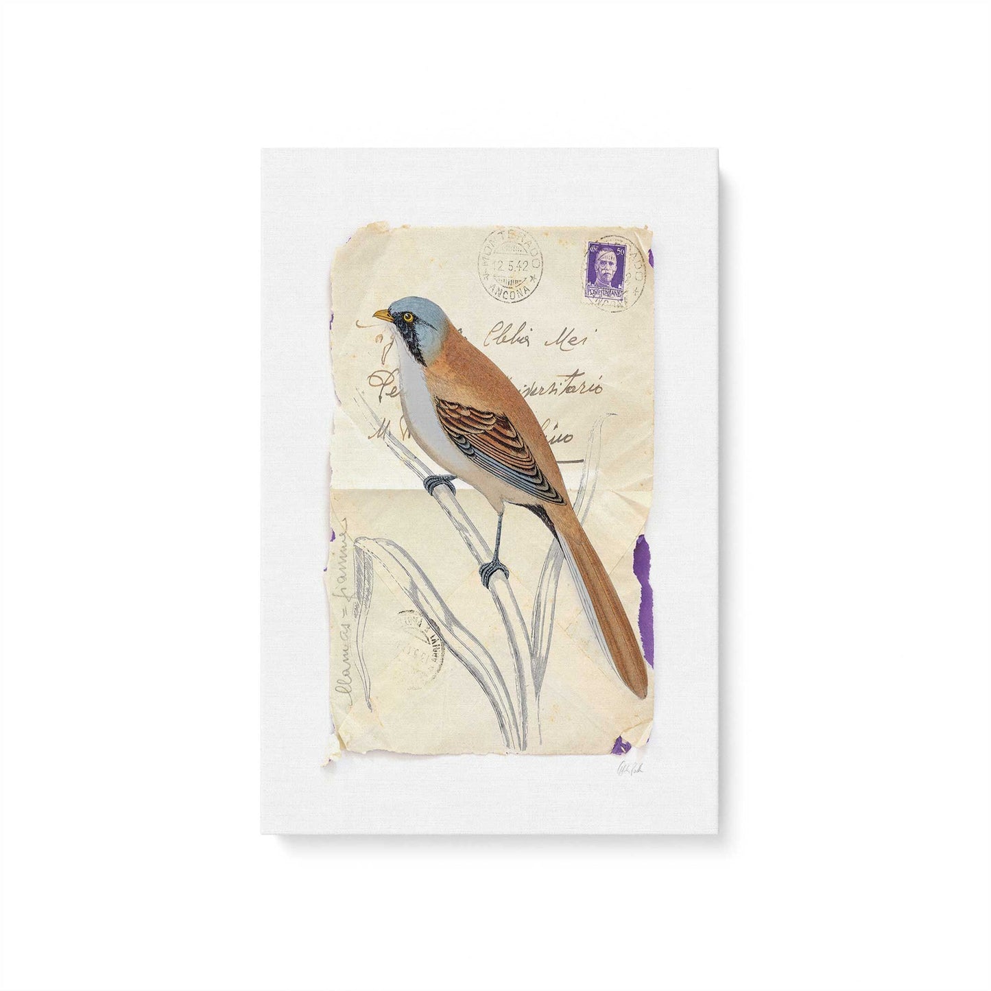 [Color:Stretched Canvas], Picture of art