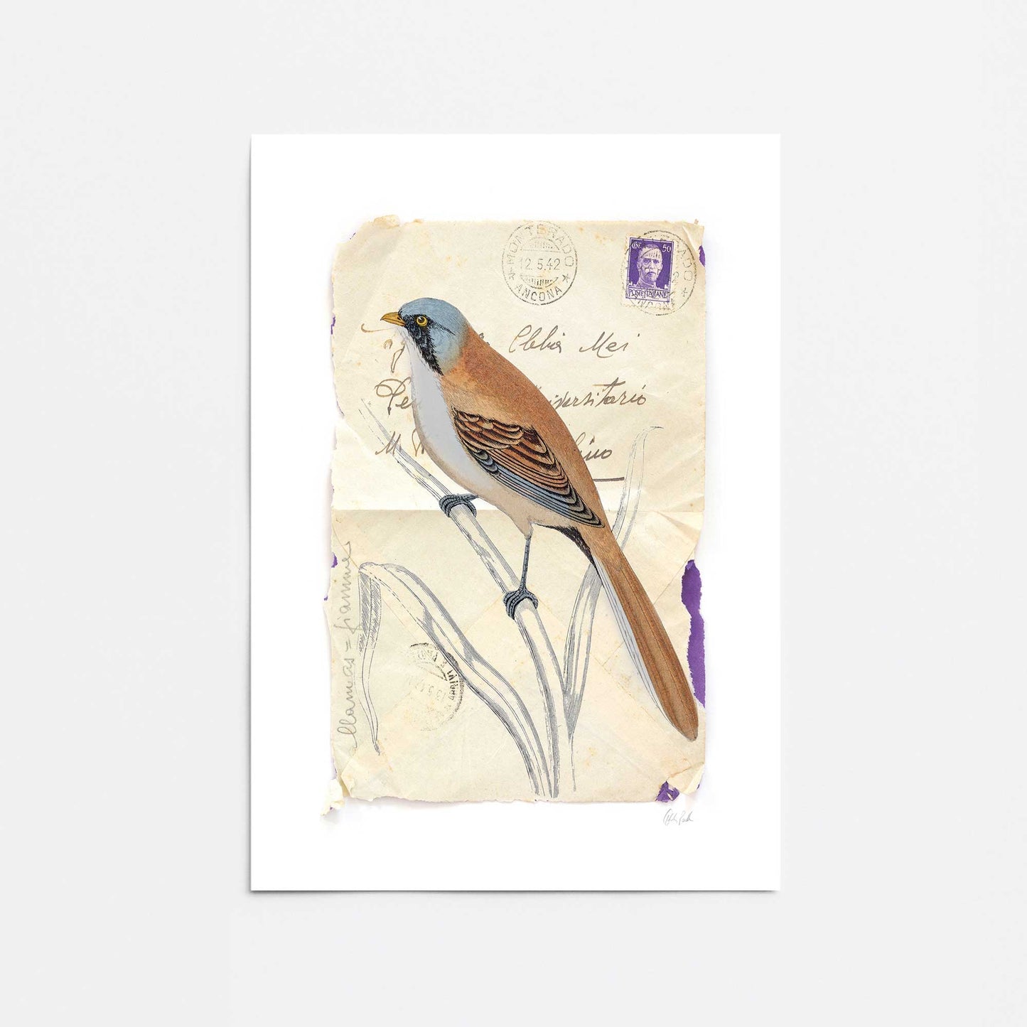 [Color:Rolled Print], Picture of close up of art