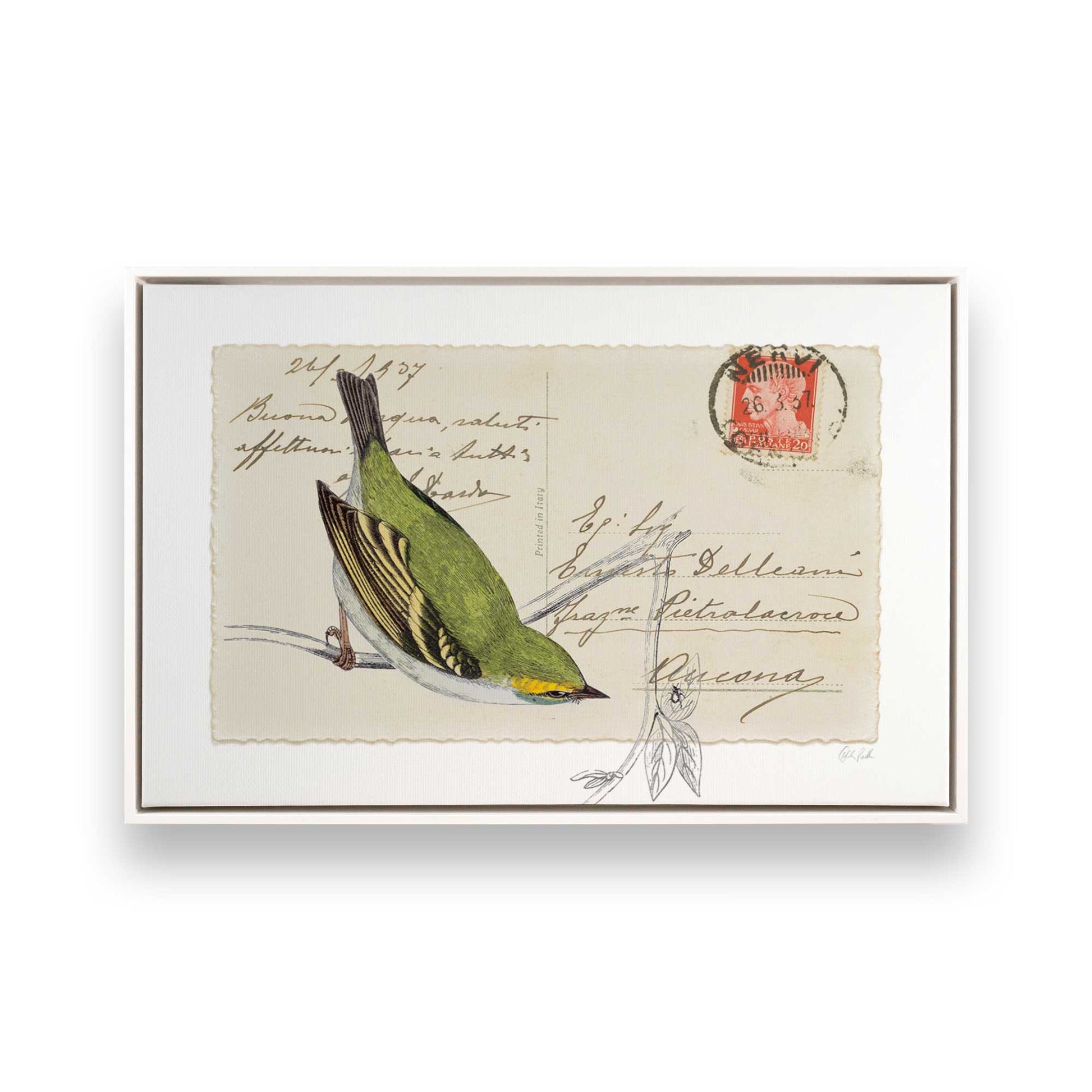 [Color:Opaque White], Picture of art in a White frame